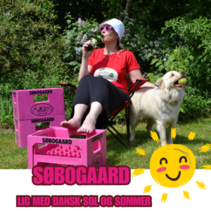 Festival sæt/stol, bøllehat og solbriller - FRAGTFRI levering!!